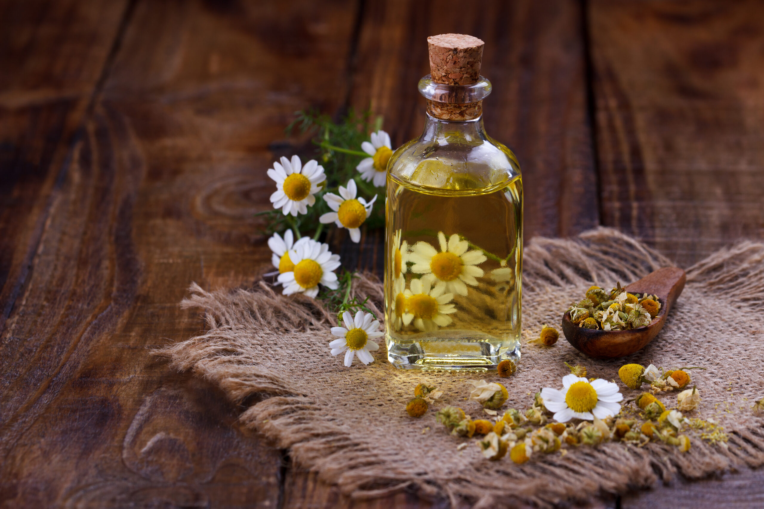 Chamomile oil with dry herbs, alternative medicine product